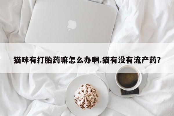 打胎药在线购买联系微信猫咪有打胎药嘛怎么办啊.猫有没有流产药？